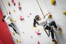 曝利拉德已结束雄鹿生涯！管理层正式启动交易，字母哥考虑离队